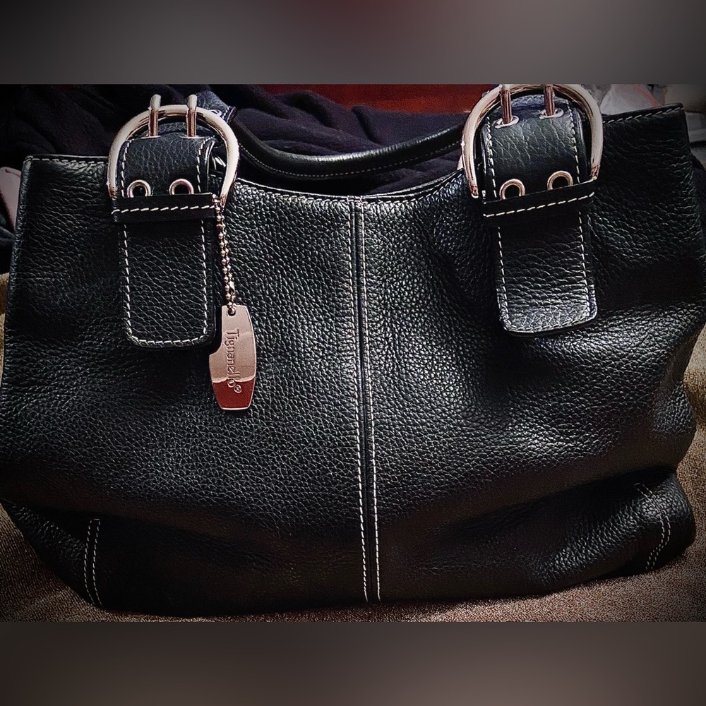 LIKE NEW, BLACK AND SILVER , TIGNANELLO, MAGNETIC CLASP PURSE!!
